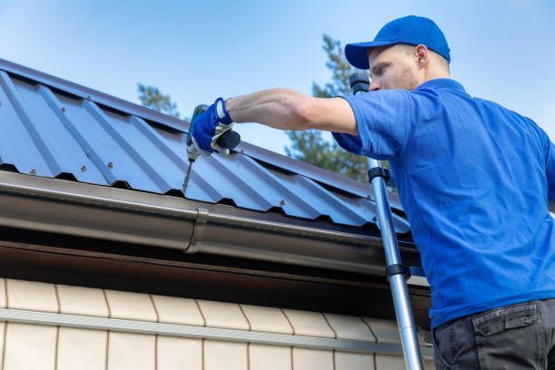 Best Skylight Installation and Repair  in Middle Valley, TN